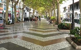Estudio Centro Historico Gandia